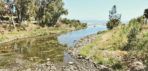 Estudio de Impacto Ambiental encauzamiento río Guadaiza
