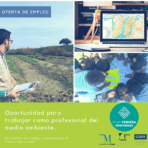 Oferta de empleo