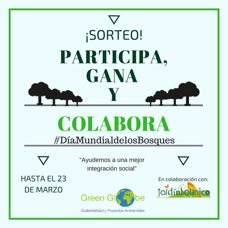 Sorteo dia mundial de los bosques