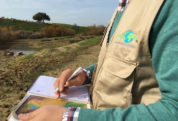 Estudio de Impacto Ambiental de Planes y Programas
