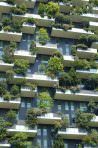 por que las zonas verdes urbanas son clave en el cambio climatico