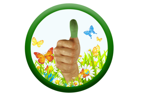 thumb-3313555_960_720 thumb-3313555_960_720